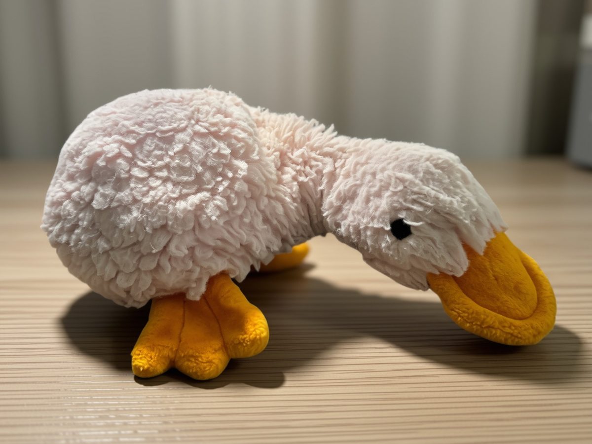 The original pink platypus: a well-loved stuffed animal with soft, curly pink fur, a bright orange bill, and orange webbed feet